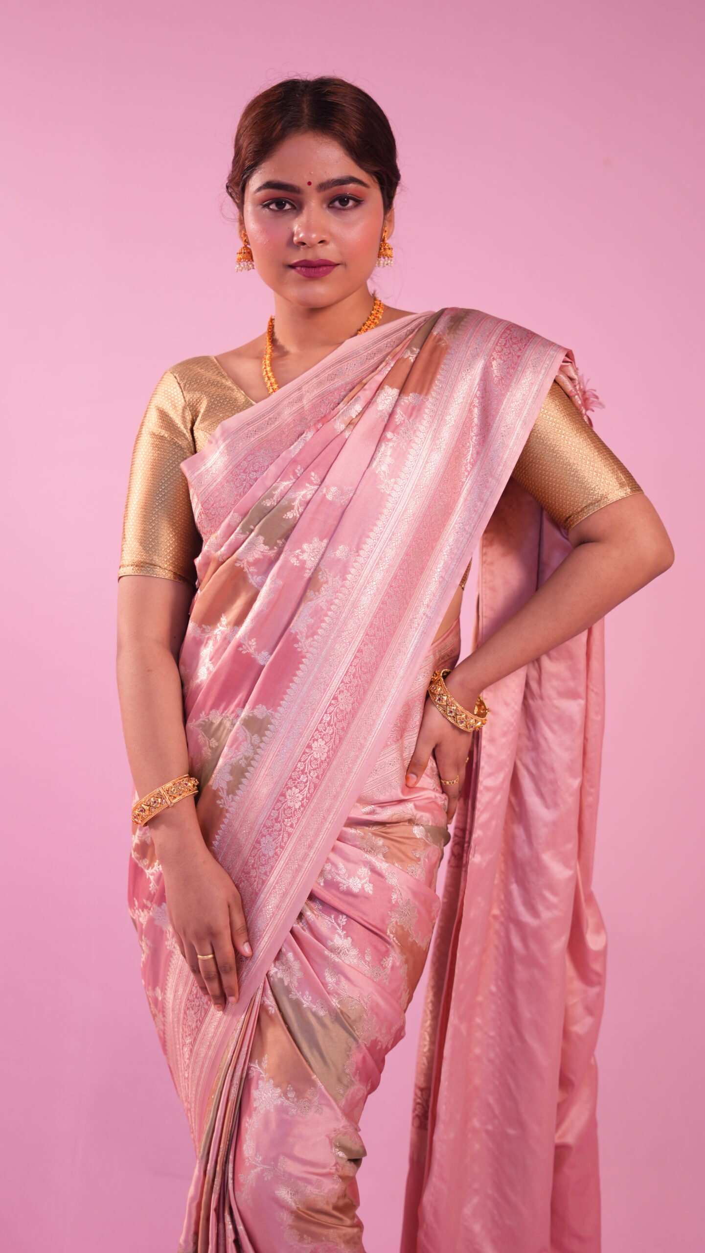 Banarasi Handloom Sarees